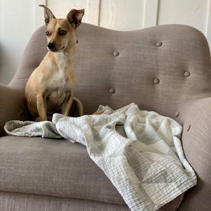 Meet your Posher, Laura